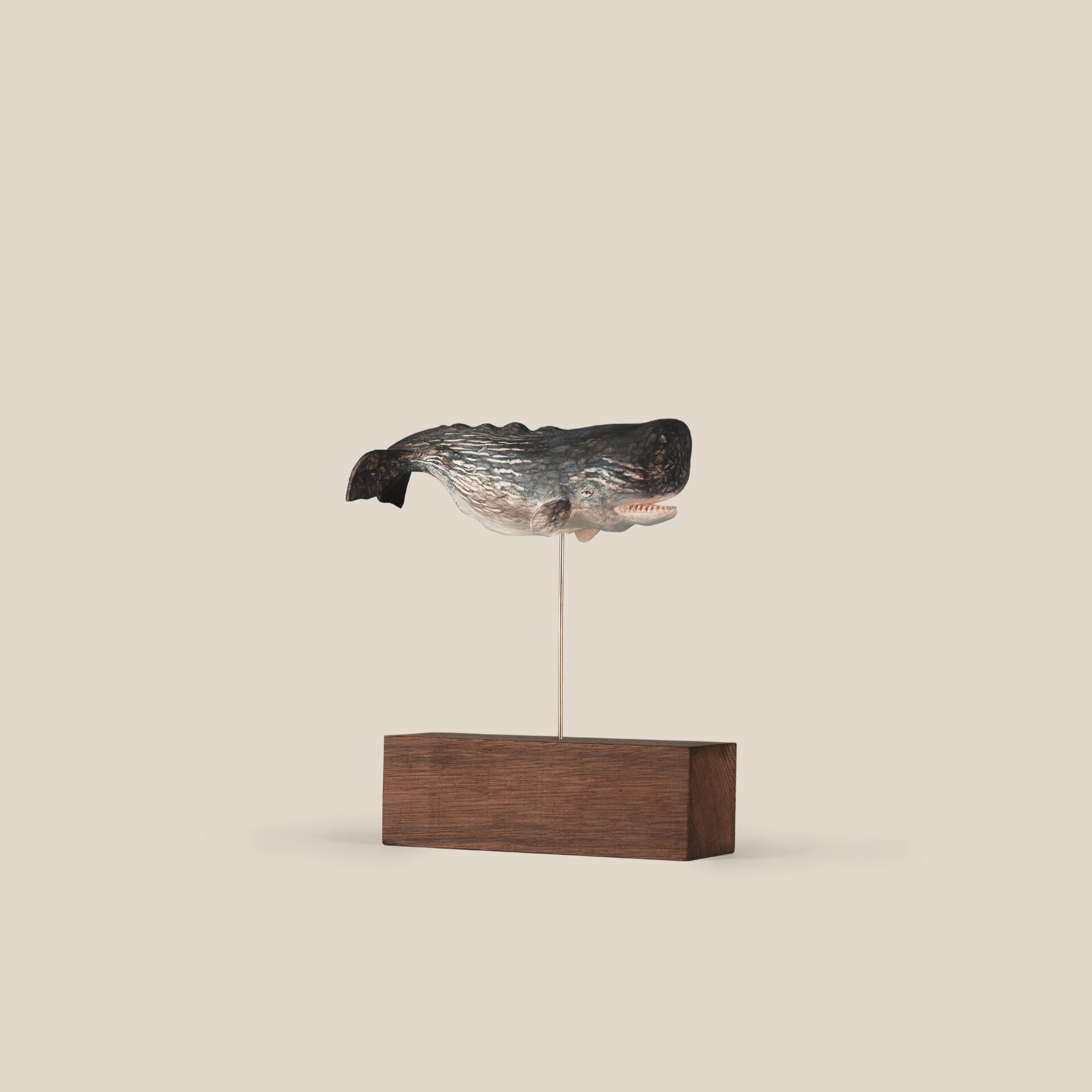 Hand Carved Wooden Sperm Whale